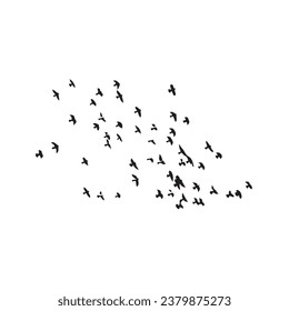 Flock of birds icon. Simple style bird nature poster background symbol. Flock of birds brand logo design element. Flock of birds t-shirt printing. Vector for sticker.