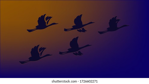 a flock of birds illuminated by the sun fly.vector
