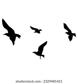 flock of birds isolated on white background