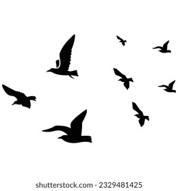 flock of birds isolated on white background