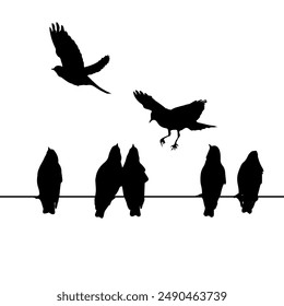 Flock of birds on power lines. Silhouettes sitting on electrical energy wires or telephone cables. Group of city urban birds on powerlines, scrapbook background. Not AI, Vector.