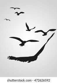 flock of birds on a white background