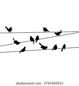 Flock of Birds on Wire. Birds on Power Line Silhouette. Sparrow and Bullfinch. Silhouette Vector Illustration