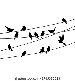 Flock of Birds on Wire. Birds on Power Line Silhouette. Sparrow and Bullfinch. Silhouette Vector Illustration
