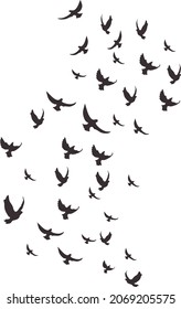 a flock of birds in the shape of a letter s