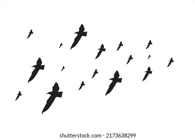 Flock of birds. Silhouette flying bird background Free Vector 