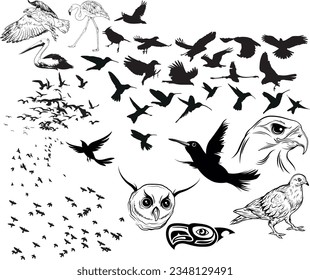 Flock of birds. Silhouette flying bird background Free Vector
