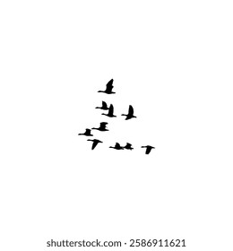 Flock of Birds Silhouette Icon on white background