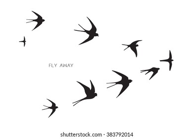 flock of birds silhouette swallow