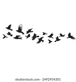 Flock Of Birds Silhouette vactor eps 10