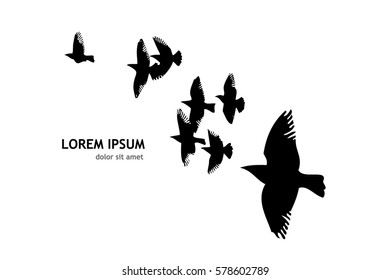 Flock of birds silhouette. Vector