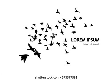 Envol Oiseaux Stock Illustrations Images Vectors