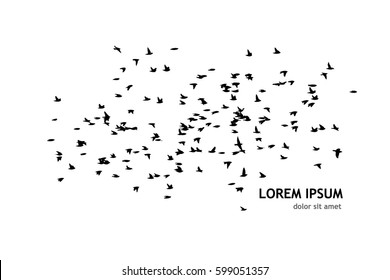 Flock Of Birds Silhouette. Vector