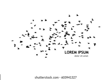 Flock of birds silhouette. Vector