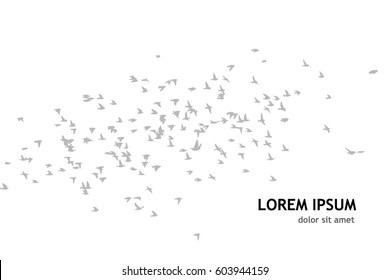 Flock of birds silhouette. Vector