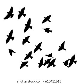 Flock of birds silhouette. Vector