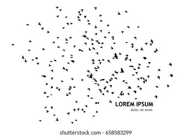 Flock of birds silhouette. Vector