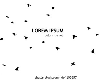 Flock of birds silhouette. Vector