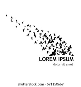 Flock of birds silhouette. Vector