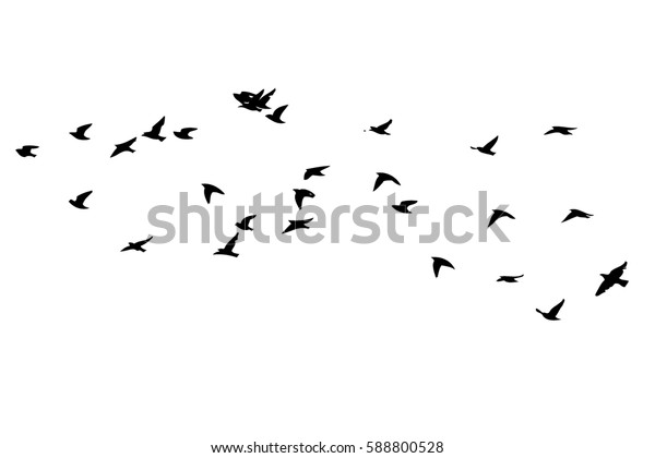 鳥の群れのシルエット ベクター画像 のベクター画像素材 ロイヤリティフリー