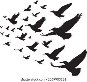 Flock of Birds Silhouette Vector Design 