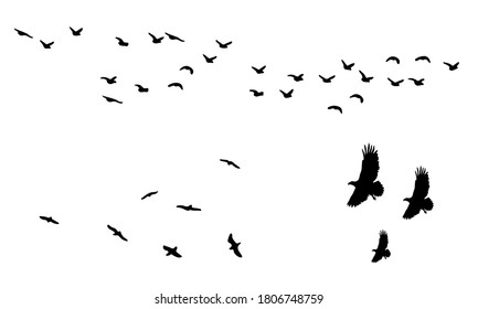 rebaño de aves silueta icono vector