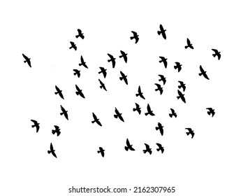 Rebaño de aves silueta de imagen vectorial