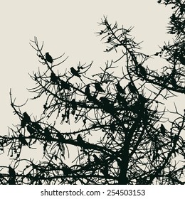 flock of birds and silhouettes of trees. vector illustration.