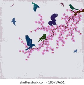 Flock of birds sits on branch of cherry tree. Spring blossoming of an Oriental cherry.