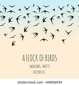 Flock of birds in the sky. Swallows, swifts. Vector set.