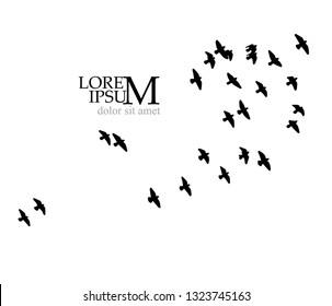 A flock of birds in the sky. Vector illustration