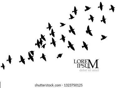 A flock of birds in the sky. Vector illustration