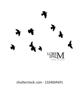 A flock of birds in the sky. Vector illustration