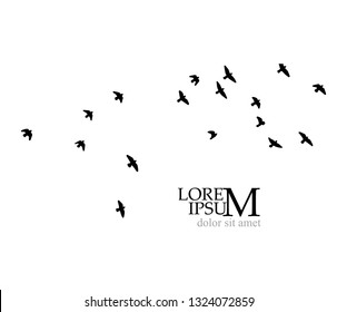 A flock of birds in the sky. Vector illustration