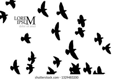 A flock of birds in the sky. Vector illustration