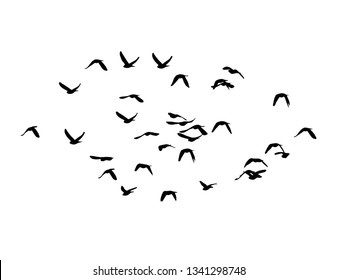 Flock Flying Birds Transparent Background Silhouette Stock Vector ...