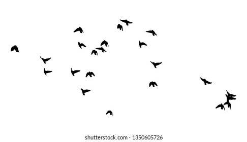 A flock of birds in the sky. Vector illustration