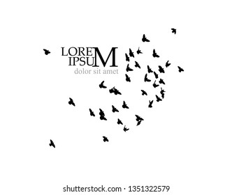A flock of birds in the sky. Vector illustration