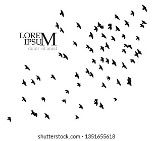 A flock of birds in the sky. Vector illustration