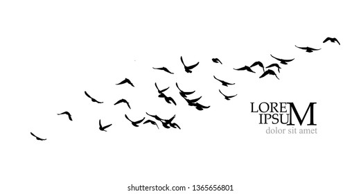 A flock of birds in the sky. Vector illustration