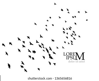 A Flock Of Birds In The Sky. Vector Illustration