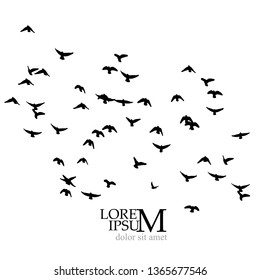 A flock of birds in the sky. Vector illustration