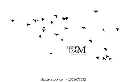 A flock of birds in the sky. Vector illustration