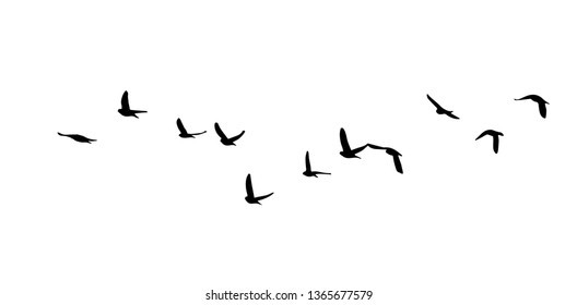 渡り鳥 のイラスト素材 画像 ベクター画像 Shutterstock