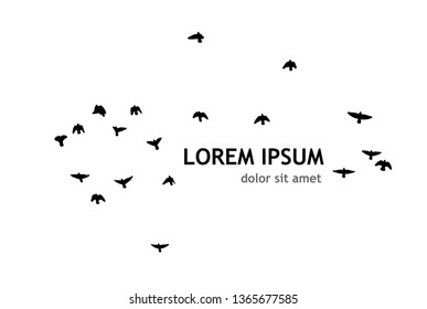 A flock of birds in the sky. Vector illustration
