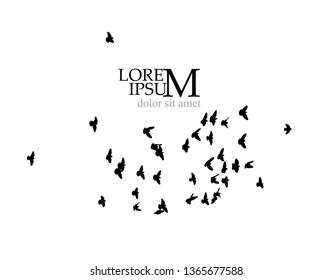 A flock of birds in the sky. Vector illustration
