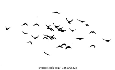 A flock of birds in the sky. Vector illustration