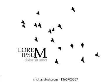 A flock of birds in the sky. Vector illustration