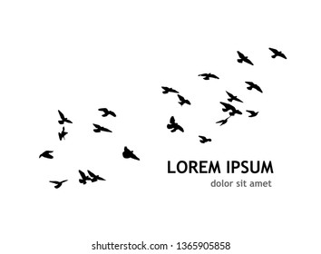 A flock of birds in the sky. Vector illustration
