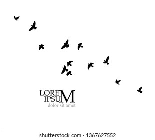 A flock of birds in the sky. Vector illustration